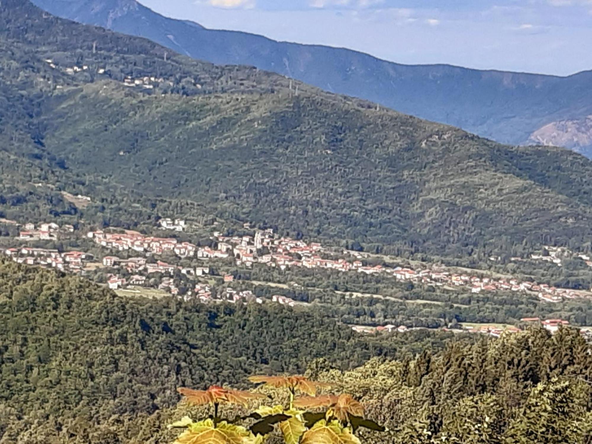 Grazioso Bilocale Merlino, Luminoso Con Vista Santuario, Wifi Giaveno ภายนอก รูปภาพ